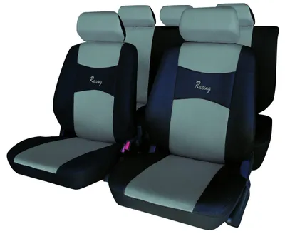 Zdjęcie produktu dla Carfactory 0842034572601 - Pokrowiec ochronny, kolor: szary