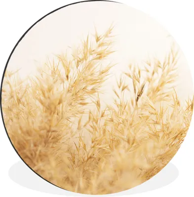Produktbild von MuchoWow® Aluminium Wandkreis Pampasgras - Sonne - Gras Ø 60 cm Wanddeko Modern Wohnzimmer - Wand Kreis - Wandbild - Schlafzimmer - Aluminium Bild - Kinderzimmer - Wohnzimmer Dekoration - Wandschmuck