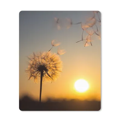 Produktbild von MuchoWow® Mauspad Mousepad Löwenzahn - Sonne - Sonnenuntergang 30x40 cm - Mousepads - Maus Mat - Pad - Mausunterlage - Mausmatten