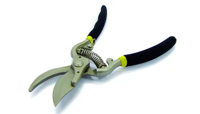 Image de Outils J.A.D. 5647 Sécateurs