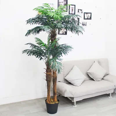 Produktbild von Künstliche Palme groß Kunstpalme Kunstpflanze Palme künstlich wie echt Plastikpflanze Balkon Kokospalme Königspalme Deko 170 cm hoch Decovego