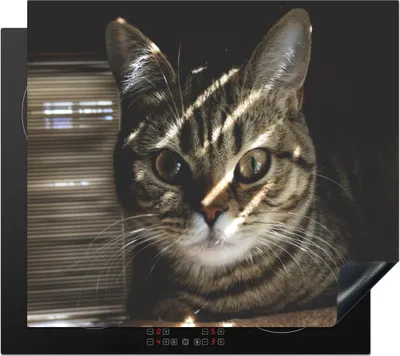 Produktbild von KitchenYeah© Herdabdeckplatte Katze - Kissen - Licht , 57x51cm, Küche Deko, Glaskeramikkochfeld Herdabdeckung, Abdeckplatte fùr Kochfeld