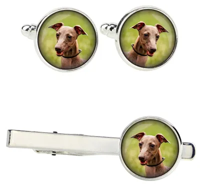 Productafbeelding van Art-Dog Set manchetknopen en dasspeld – Azawakh – met geschenkdoos