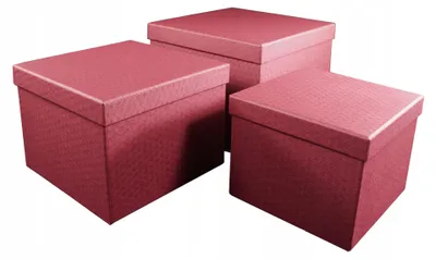 Produktbild von Vipolimex Quadratische Blumenboxen mit Deckel, 3er-Set, Bordeauxrot