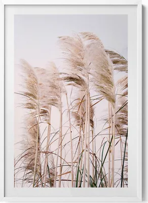Produktbild von Romantische Landschaft mit Gräsern im Boho-Stil– Wandbild mit Rahmen – Gerahmtes Bild  – Wanddekoration – 70x100 cm –  Weiß Rahmen