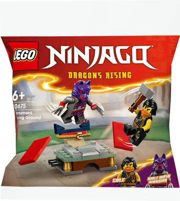 Immagine prodotto di Lego Ninjago Torneo: Campo Di Allenamento