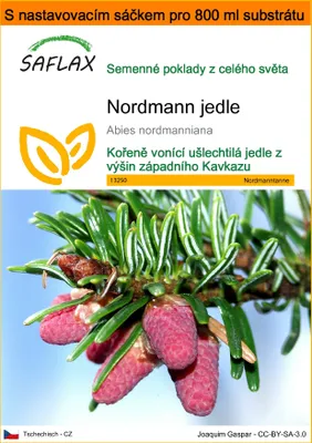 Obrázek produktu pro SAFLAX Garden in the bag - Nordmann jedle - Abies nordmanniana - 20 Semena - S pěstebním substrátem v praktickém samovztyčovacím sáčku