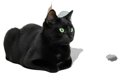 Produktbild von Hundebett, faltbares Design, atmungsaktives Material, GRAU