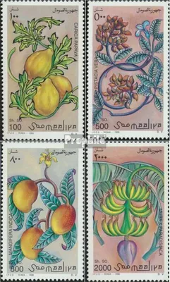 Produktbild von Briefmarken Somalia 1996 Mi 607-610 (kompl.Ausg.) postfrisch Früchte