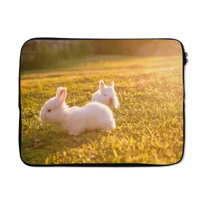 Produktbild von MuchoWow® Laptop Hülle 15 Zoll Kaninchen - Baby - Weiß Laptoptasche - Laptoptasche - Sleeve - Rundum-Schutz