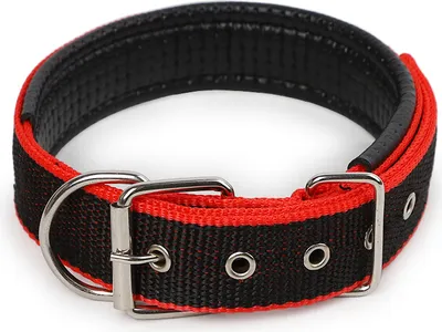 Produktbild von INF Weiches, verstellbares Hundehalsband mit Metallschnalle Mehrfarbig