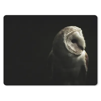 Produktbild von MuchoWow® Mauspad Mousepad Eule - Vogel - Porträt 40x30 cm - Mousepads - Maus Mat - Pad - Mausunterlage - Anti Rutsch