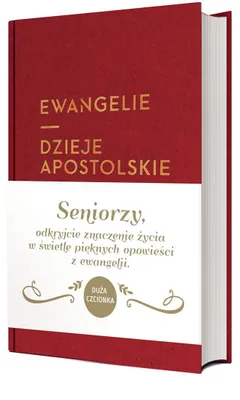 Image de Ewangelie i Dzieje Apostolskie w przekładzie z języków oryginalnych, Image générée par une IA