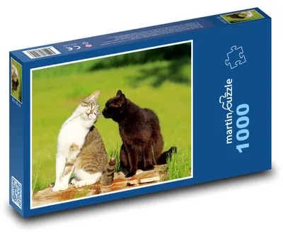 Zdjęcie produktu dla martinpuzzle - Puzzle 1000 elementów - Koty