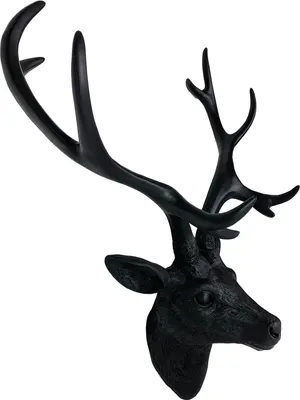 Hirschkopf mit Geweih 48 x 32 x 61 cm Schwarz