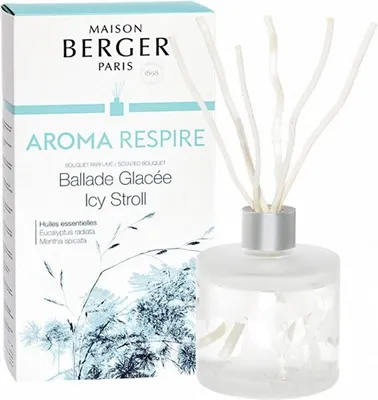 Obrázek produktu pro Maison Berger Reed Diffuser Bouquet 180 ML