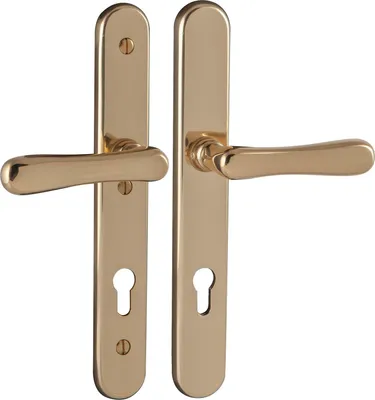 Obrázek produktu pro SH sada pákových klik ELEGANT/22 - na rozetové desce PZ88, TS-80, bez rozety, leštěná ÖNORM