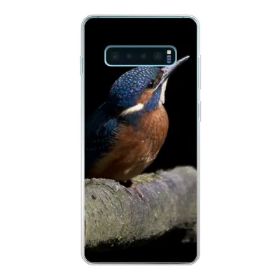 Produktbild von MuchoWow® Handyhülle Schutzhülle Hülle für Samsung Galaxy S10 Lite Eisvogel - Zweig - Federn - Schwarz Silikon Softcase Handy Hülle - Schutz