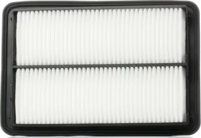 Produktbild von Luftfilter RIDEX 8A0461 für NISSAN Qashqai II (J11, J11) Umluftfilter