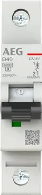 Image de AEG Disjoncteur Elfaplus 6kA B40A 1P (2CDS251088R0405)