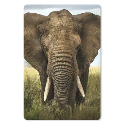 Produktbild von MuchoWow® Mauspad Mousepad Elefant - Natur - Gras - Tiere - Landschaft 18x27 cm - Mousepads - Maus Mat - Pad - Mausunterlage
