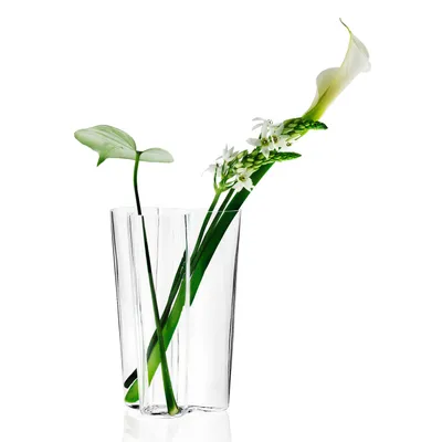 Produktbild von Iittala Alvar Aalto Collection Finlandia Vase, Blumenvase, Zimmervase, Tischvase, Vase, Glas, Klar, 25.1 cm, 1007154