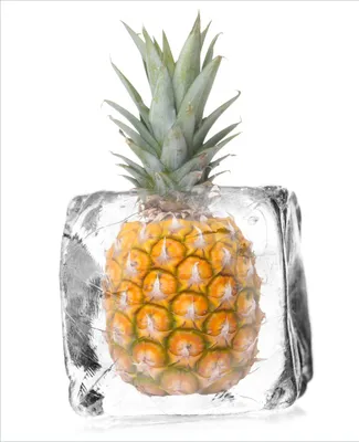 Produktbild von Wallario Sticker / Aufkleber für Kühlschrank / Geschirrspüler / Küchenschränke, selbstklebende Folie - 60 x 80 cm, Motiv: Ananas in Eiswürfel - Eiskaltes Obst