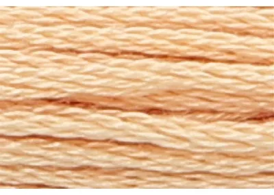 Image de Fil à broder Anchor Mouline Color 361, 6 brins, 8 mètres