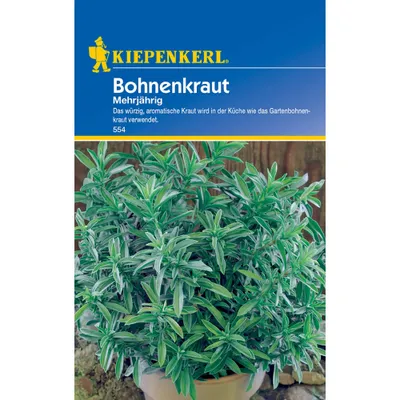 Produktbild von Kiepenkerl Bohnenkrautsamen, mehrjährig