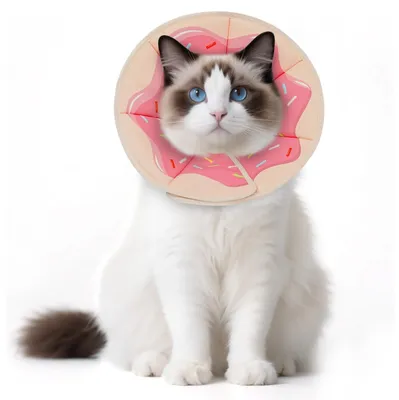 Productafbeelding van Solidchoice - Zachte Verstelbare Kattenhalsband voor Na Operatie