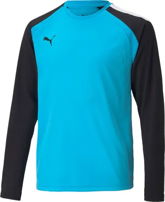 Obrázek produktu pro Mikiny Puma Teampacer Gk B23742