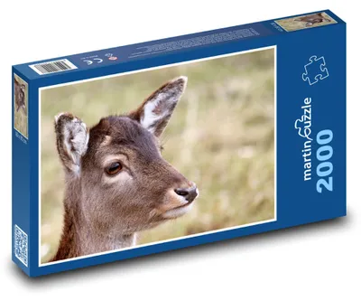 Zdjęcie produktu dla Puzzle 2000 Sarna w lesie - martinpuzzle