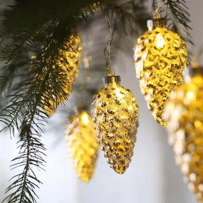 Produktbild von LED Lichterkette mit Tannenzapfen, 10 LED, warmweiß, batteriebetrieben, innen