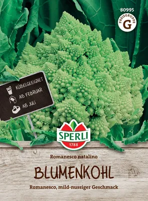 Produktbild von SPERLI Blumenkohlsamen Romanesco natalino Brassica oleracea 60 Pflanzen