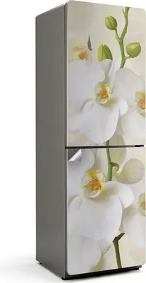 Obrázek produktu pro Orchidej květiny detaily - Nálepka na lednici - Nálepka na lednici - Lednice dekorace - Lednice fólie samolepící - Kuchyňské dekorace - 60x180 cm