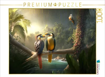 Produktbild von CALVENDO Puzzle Vögel | 1000 Teile Lege-Größe 64x48cm Foto-Puzzle für glückliche Stunden