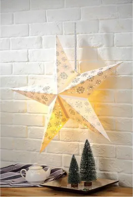 Obrázek produktu pro Sněhová vločka Poinsettia 60 cm - s 10 teplými bílými LED diodami