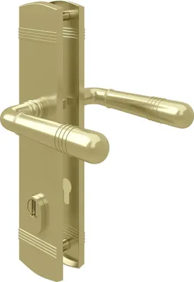 A close-up, studio shot of a brass-look door handle set with a lock cylinder cover.