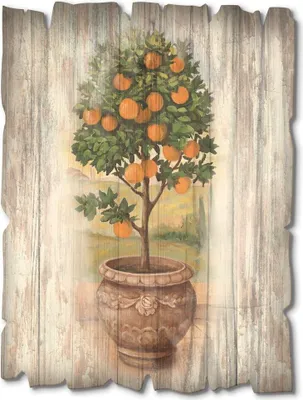 Produktbild von ARTland Holzbild Vintage Orangenbaum mit Holzoptik Größe: 30x40 cm