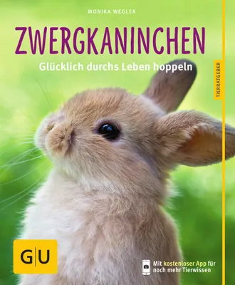 Produktbild von Zwergkaninchen