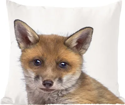 Produktbild von MuchoWow® Zierkissen Sofakissen Wohnzimmer Dekokissen 45x45 cm Fuchs - Tiere - Jungtier - Jungen - Mädchen - Kind - Schlafpolster - Polster für das Sofa