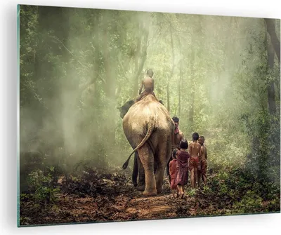 Produktbild von Bilder auf glas - Elefant Dschungel Nebel - 70x50cm - Glasbilder - Wandbilder - Kunstdruck - zum Aufhängen bereit - Wanddekoration aus Glas - Glas Bilder - Wandbild auf Glas - GAA70x50-3438