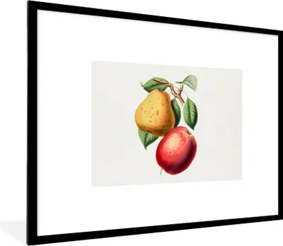 Produktbild von MuchoWow® Gerahmtes Poster Apfel - Birne - Obst 80x60 cm - Poster mit Schwarzem Bilderrahmen Wandposter Rahmen Foto Bilder - Schlafzimmer-Dekorationen - Fotoposter