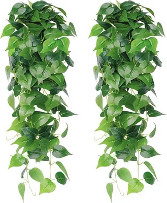 Produktbild von Famanu Hängende Pflanzen Set von 2 - Kunstpflanzen aus Efeu & Dill für Wanddekoration