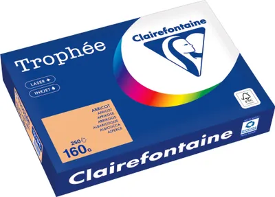 Obrázok produktu pre Clairefontaine Kopierpapier 1011PC A4 160g aprikose 250Bl