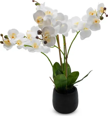 Produktbild von 3.03 Künstliche Orchidee im schwarzen Topf - ca. 67 cm - Deko Pflanze (groß / schwarz)