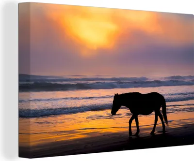 Produktbild von OneMillionCanvasses® - Leinwandbilder - 140x90 cm, Wildpferd in der Brandung, Wandbilder Kunstdruck Wanddekoration