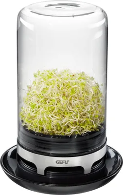Produktbild von Gefu 18910 Sprossenglas Bivita aus Glas für Keimsaaten wie Alfalfa, Mungbohnen,