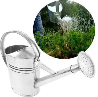 Image de BAUSTER® Arrosoir 10 L Arrosoir en zinc Arrosoir métallique ovale avec pomme d'arrosage pour le jardin et la serre Arrosoir de jardin galvanisé