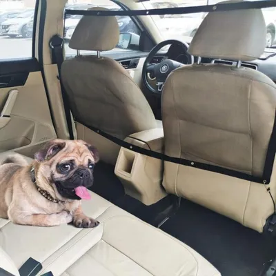 Produktbild von Hunde Auto Barriere 110x60cm Mesh Rücksitz Divider Netz mit Haken für SUV Kleinwagen